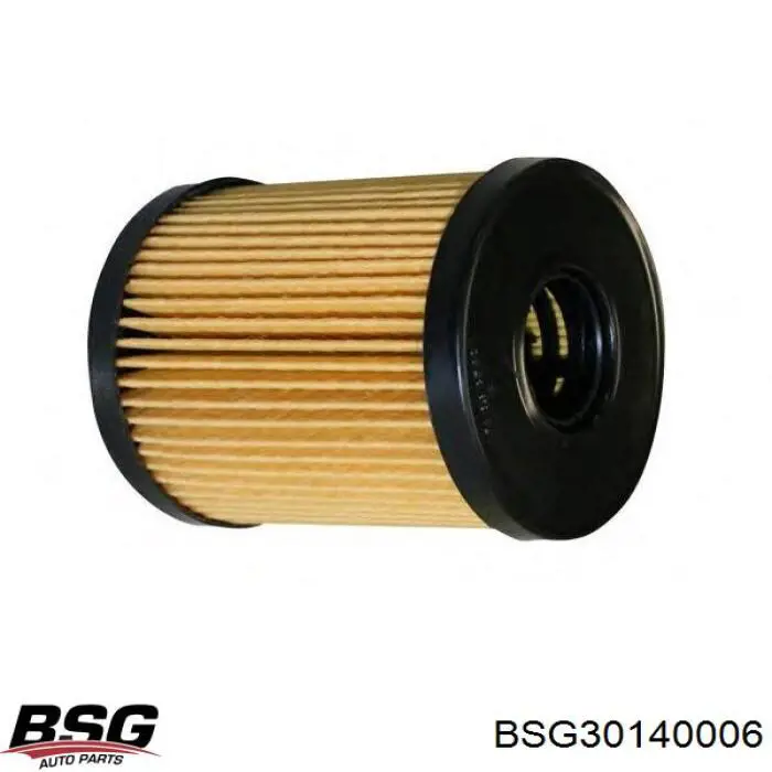 Filtro de aceite BSG30140006 BSG