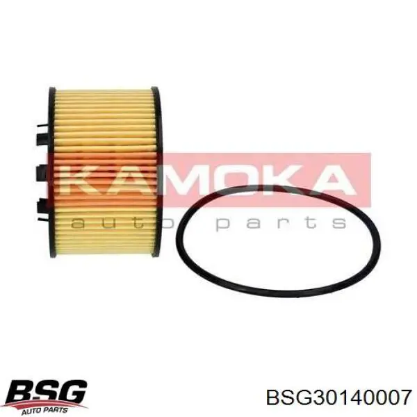 Купить BSG30140007 BSG Фильтр центробежный очистки масла