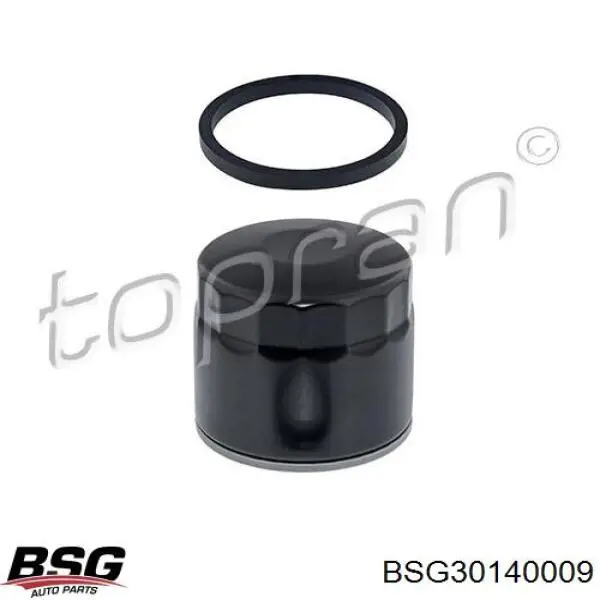 Купить BSG30140009 BSG Фильтр центробежный очистки масла