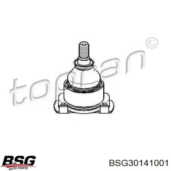 Tapa de filtro de aceite BSG30141001 BSG