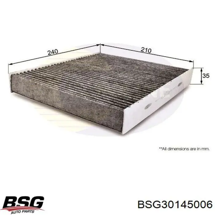 BSG 30-145-006 BSG фильтр салона