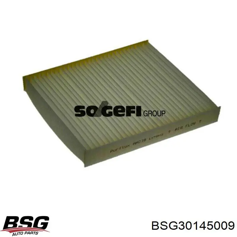 BSG 30-145-009 BSG фильтр салона