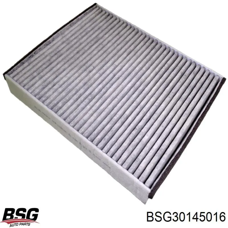 BSG30145016 BSG