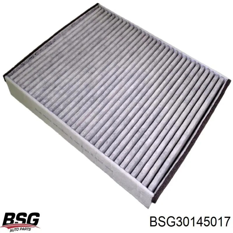 BSG30145017 BSG filtro de salão