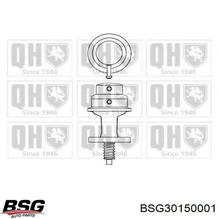Механический топливный насос ES1608 DP Group