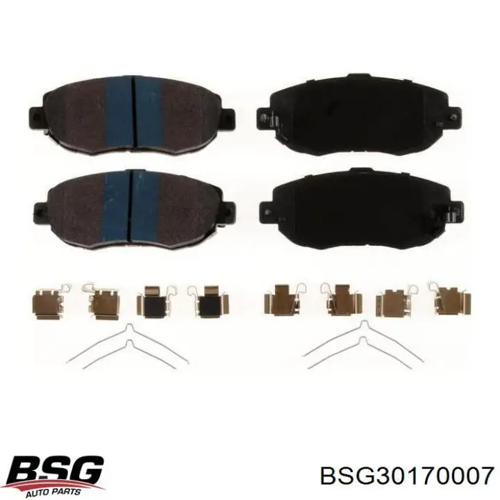  BSG30170007 BSG