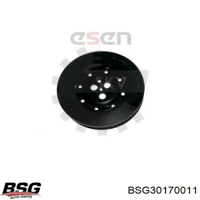 BSG30170011 BSG Шкив коленчатого вала