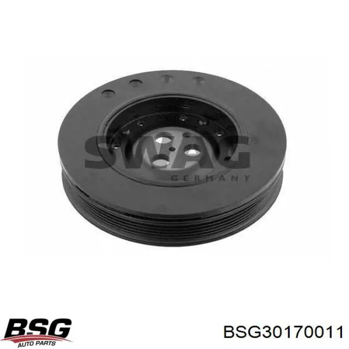 BSG30170011 BSG