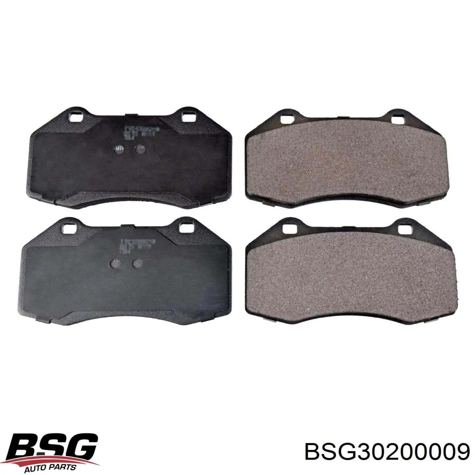 BSG30200009 BSG