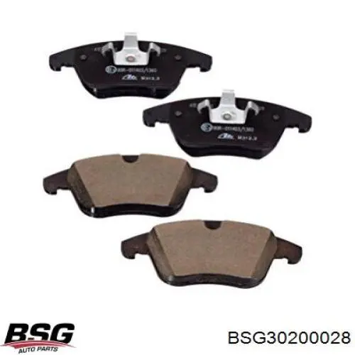 BSG30200028 BSG
