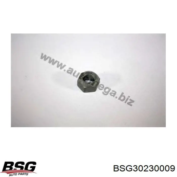 Гайка крепления колеса DP Group SS1114 цена, от 1.08 USD