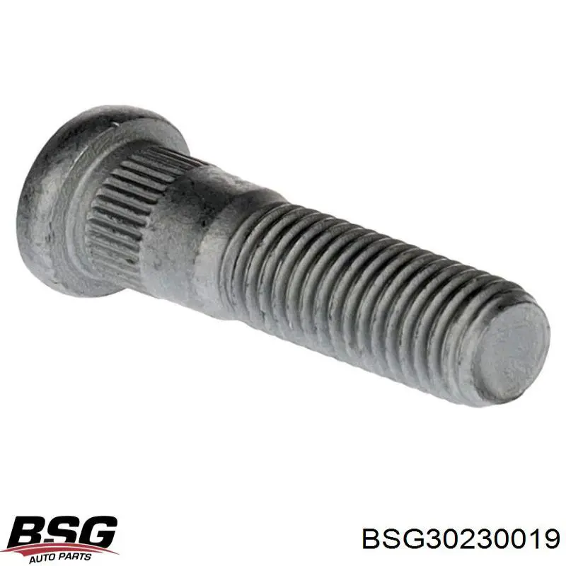 Tornillos para ruedas BSG30230019 BSG