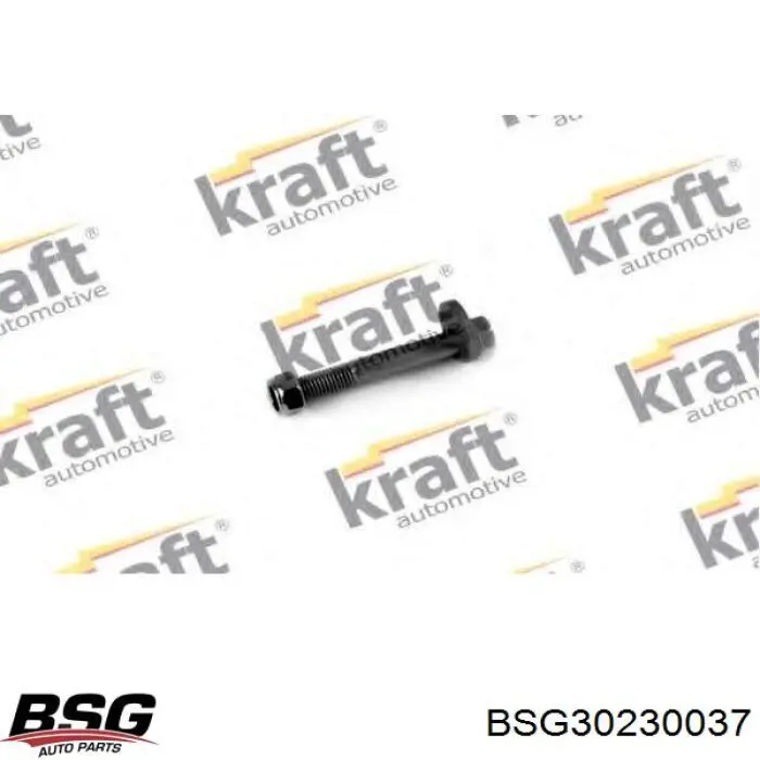 Болт крепления заднего нижнего рычага, внутренний BSG BSG30230037 цена, от 6.17 USD
