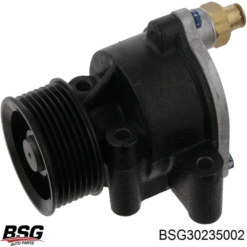 BSG 30-235-002 BSG насос вакуумный