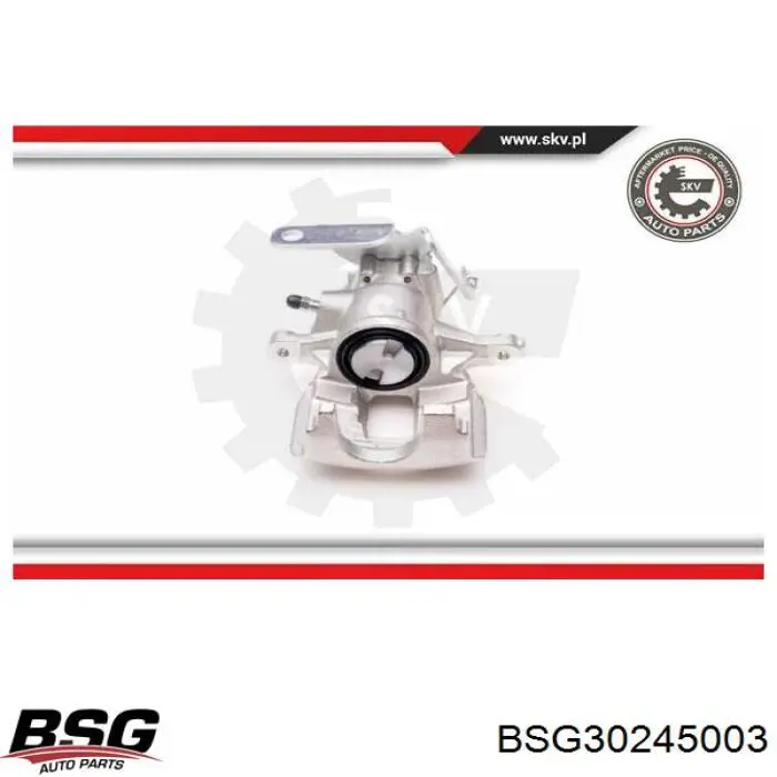 BSG30245003 BSG Тормозной суппорт задний левый