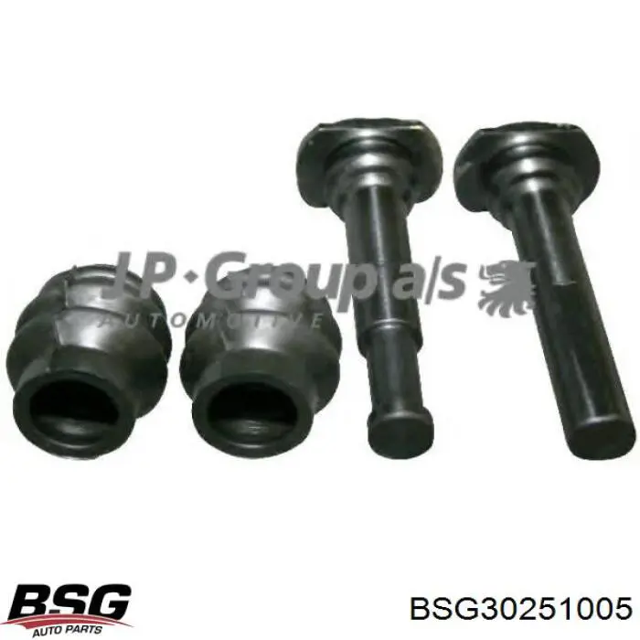 BSG 30-251-005 BSG ремкомплект суппорта тормозного заднего