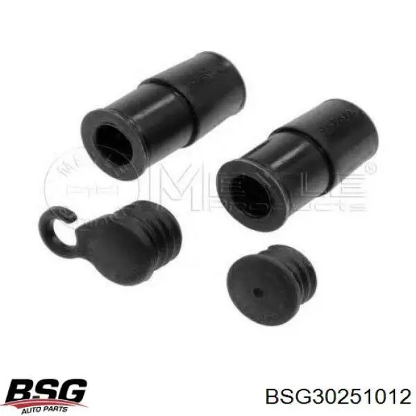 BSG 30-251-012 BSG kit de reparação de suporte do freio dianteiro