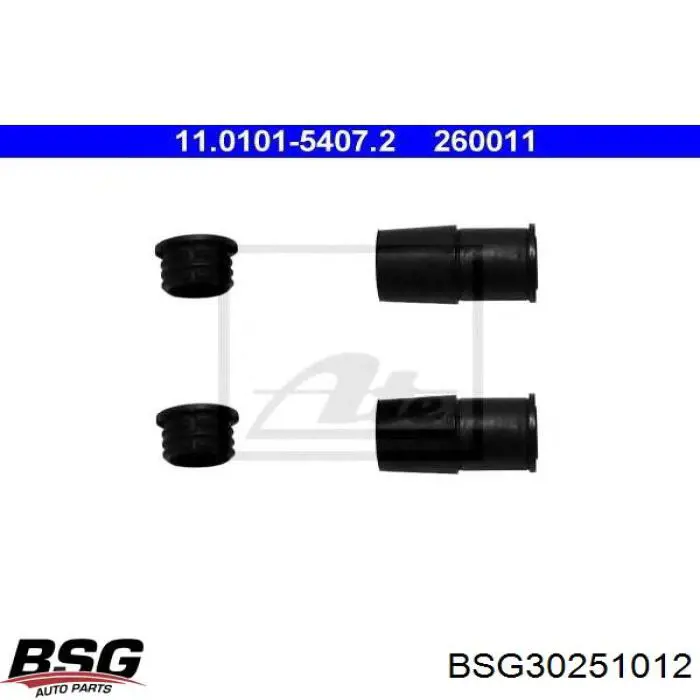 BSG30251012 BSG