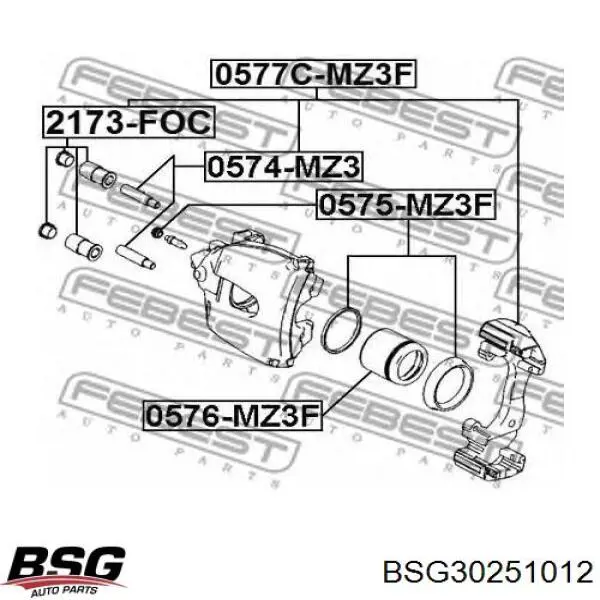 Купить BSG30251012 BSG Ремкомплект переднего суппорта