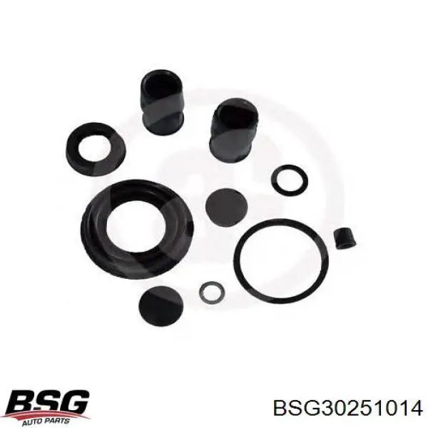 BSG 30-251-014 BSG направляющая суппорта переднего
