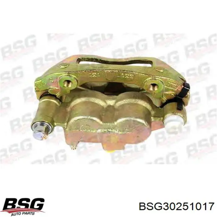 BSG30251017 BSG