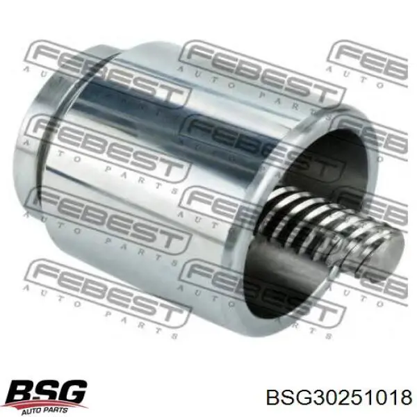 Купить BSG30251018 BSG Скоба заднего суппорта