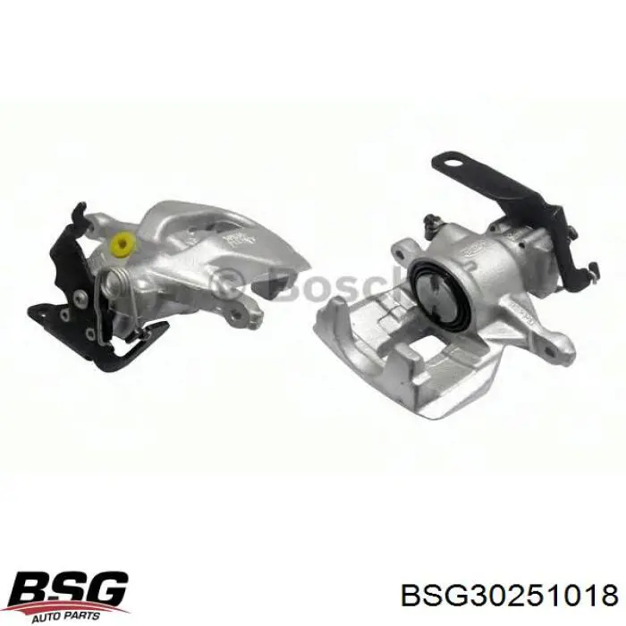 BSG 30-251-018 BSG ремкомплект суппорта тормозного заднего