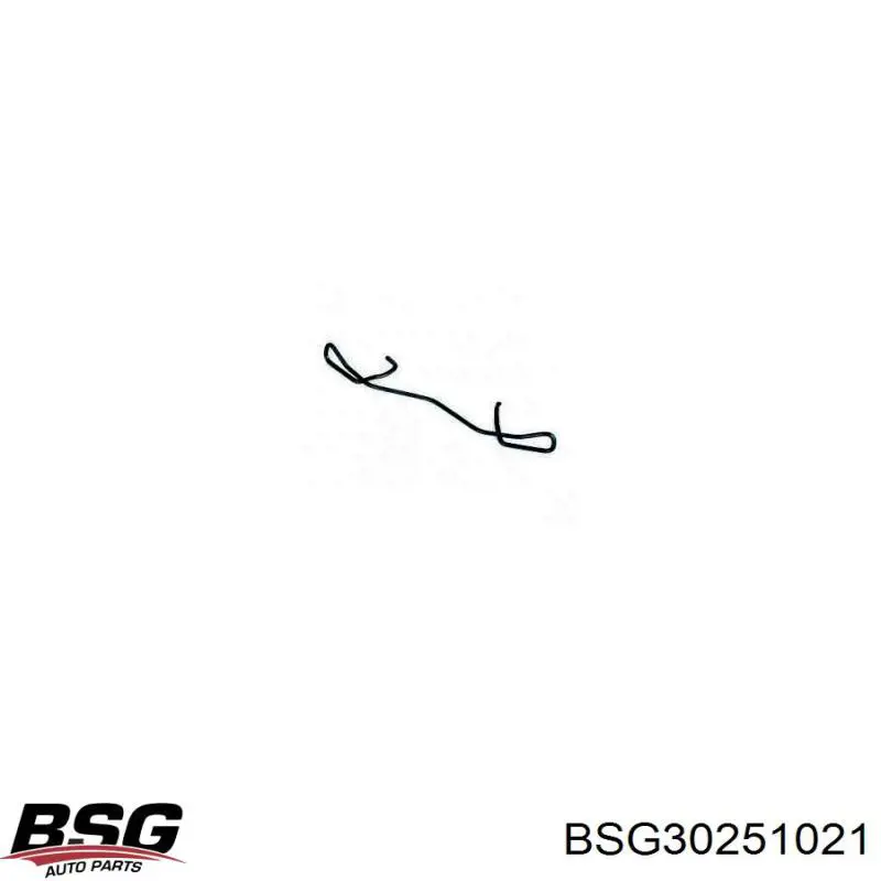 BSG30251021 BSG Комплект пружинок крепления дисковых колодок, задних