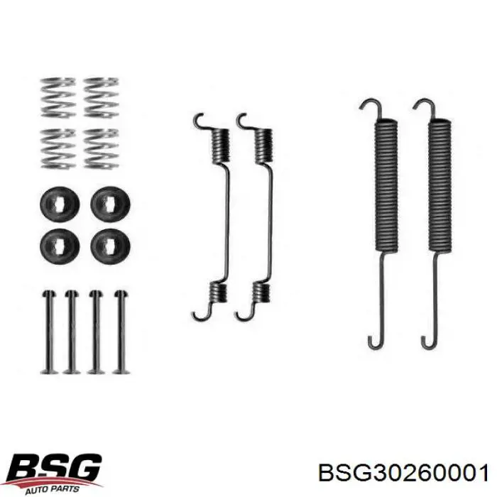 BSG 30-260-001 BSG монтажный комплект задних барабанных колодок