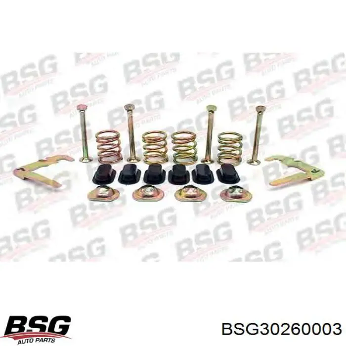 BSG30260003 BSG