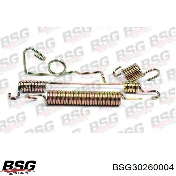 BSG30260004 BSG