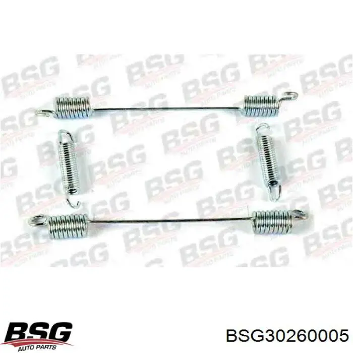 BSG30260005 BSG ремкомплект тормозных колодок