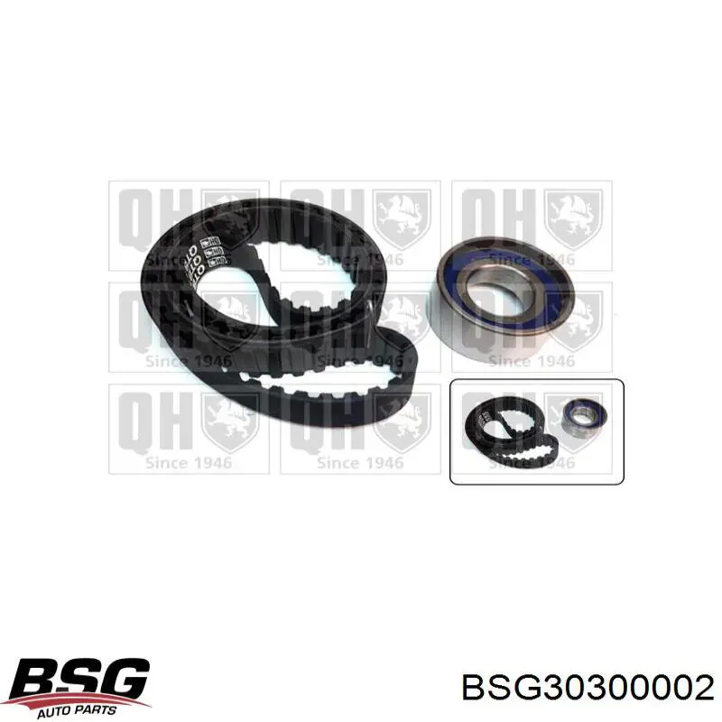 Амортизатор задний BSG30300002 BSG
