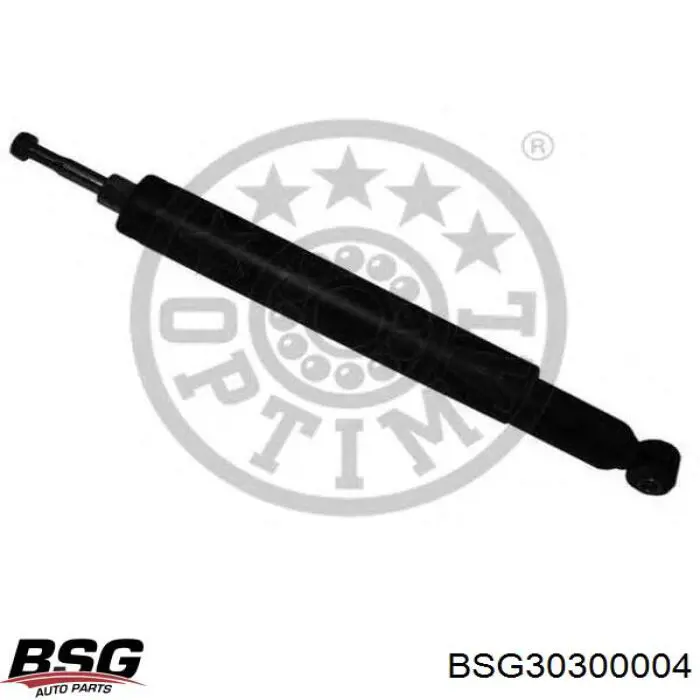 BSG30300004 BSG