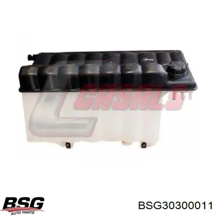 Амортизатор передний BSG30300011 BSG
