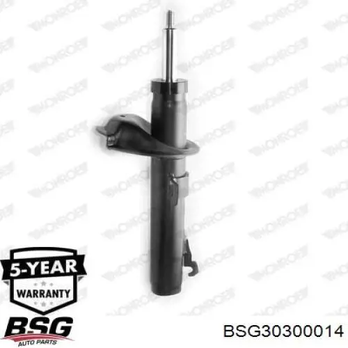 Амортизатор передней подвески левой BSG BSG30300014 цена, от 29.57 USD