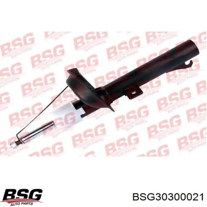 Амортизатор передней подвески левой BSG BSG30300021 цена, от 53.06 USD