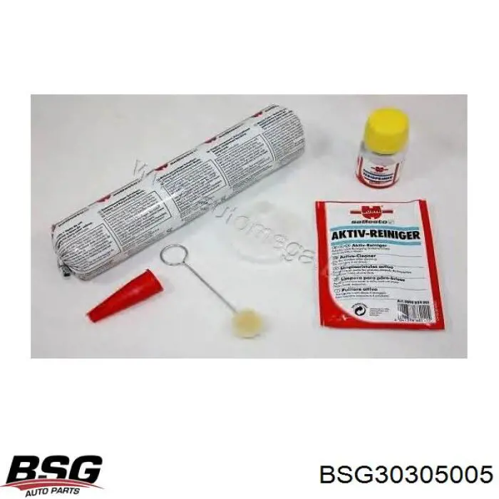 BSG 30-305-005 BSG пружина передняя