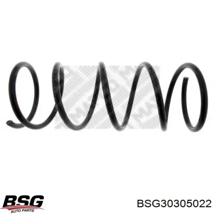 Передняя пружина BSG30305022 BSG