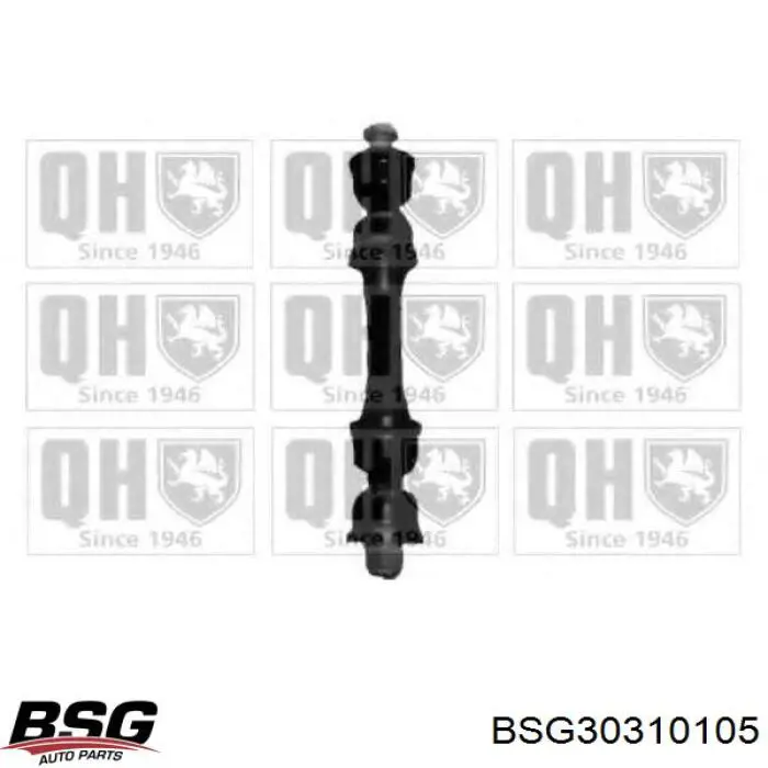 Купить BSG30310105 BSG Амортизационная стойка
