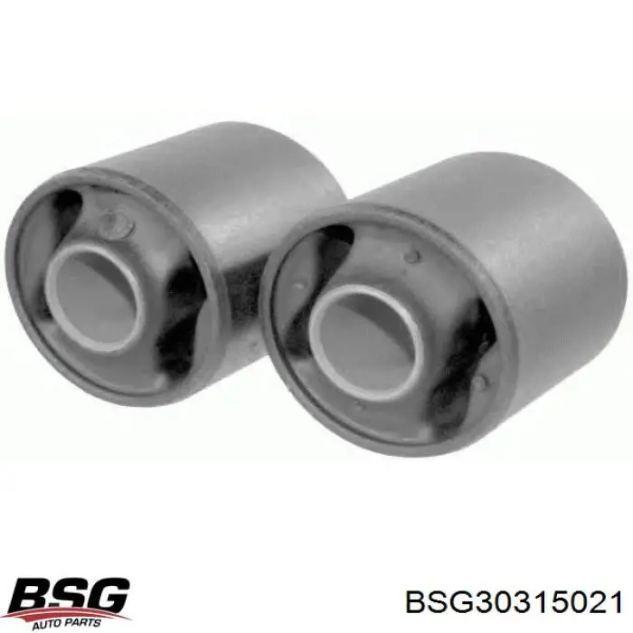 BSG30315021 BSG