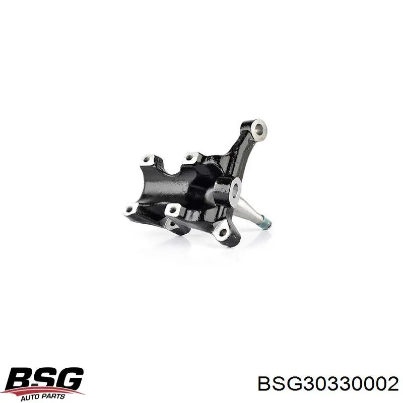 Купить 1065949 Ford Цапфа поворотная левая