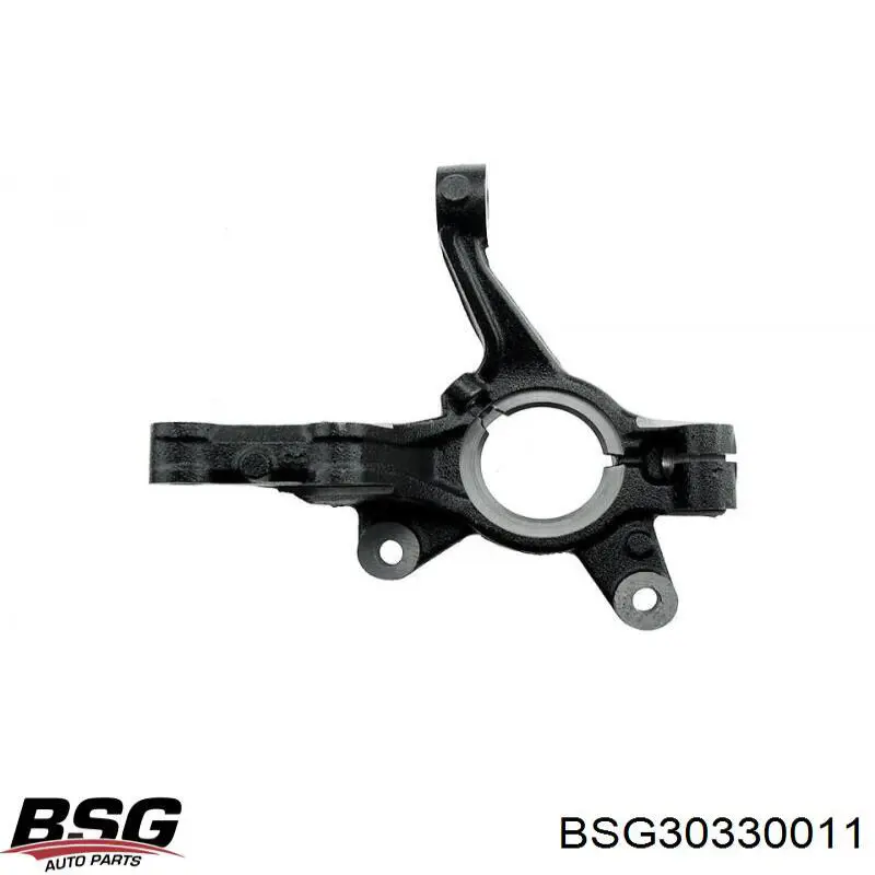 Цапфа передняя правая SS76170 DP Group