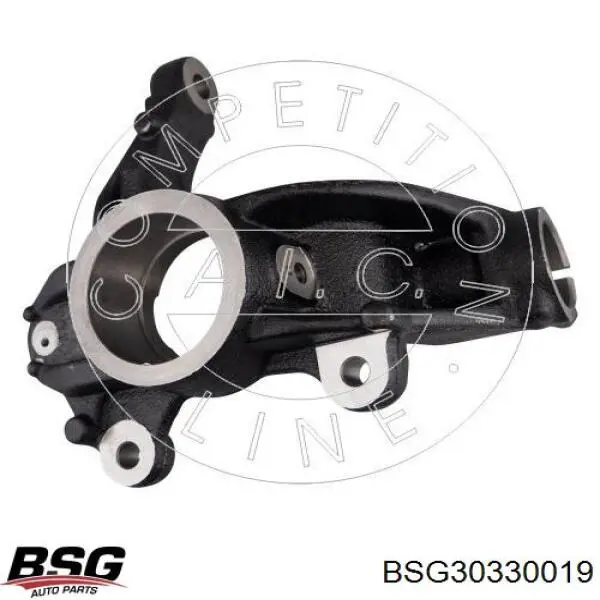 BSG30330019 BSG
