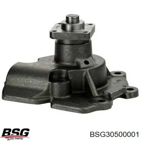 BSG30500001 BSG Насос водяной