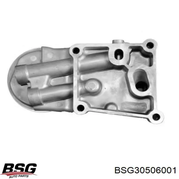 BSG30506001 BSG радиатор масляный (холодильник, под фильтром)