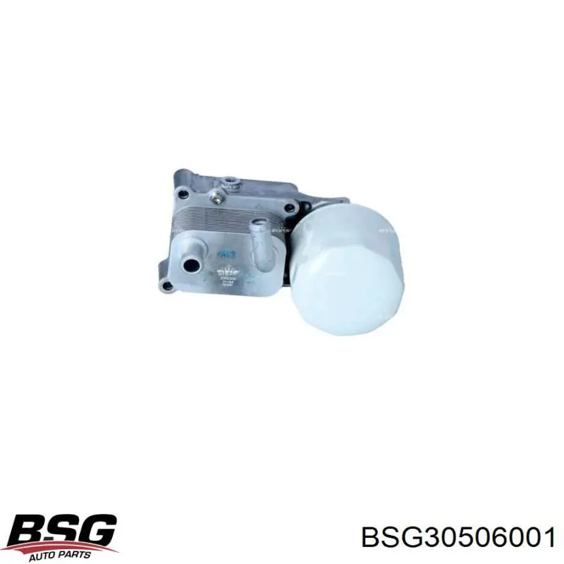 BSG30506001 BSG