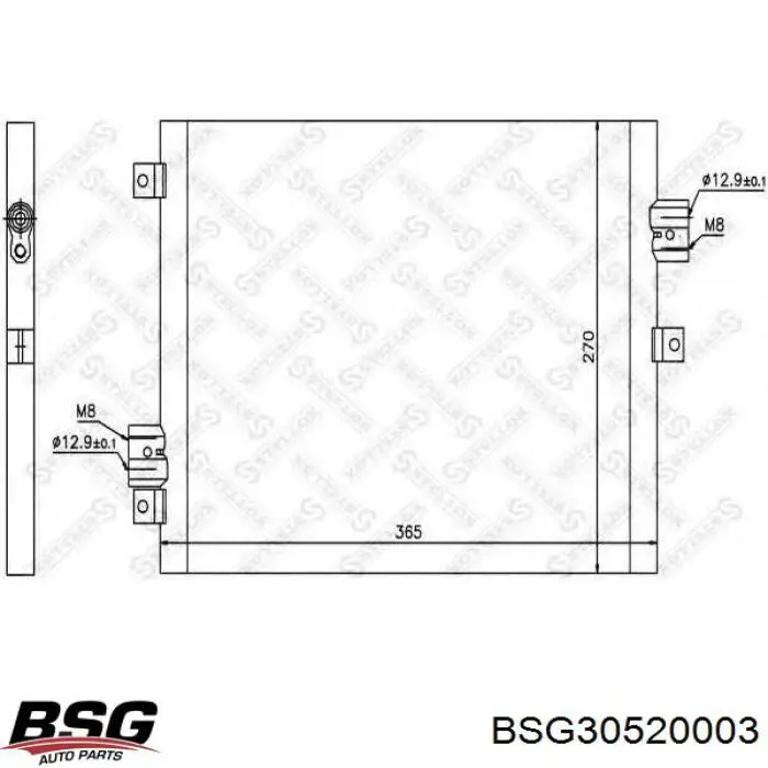 BSG30520003 BSG Радиатор основной