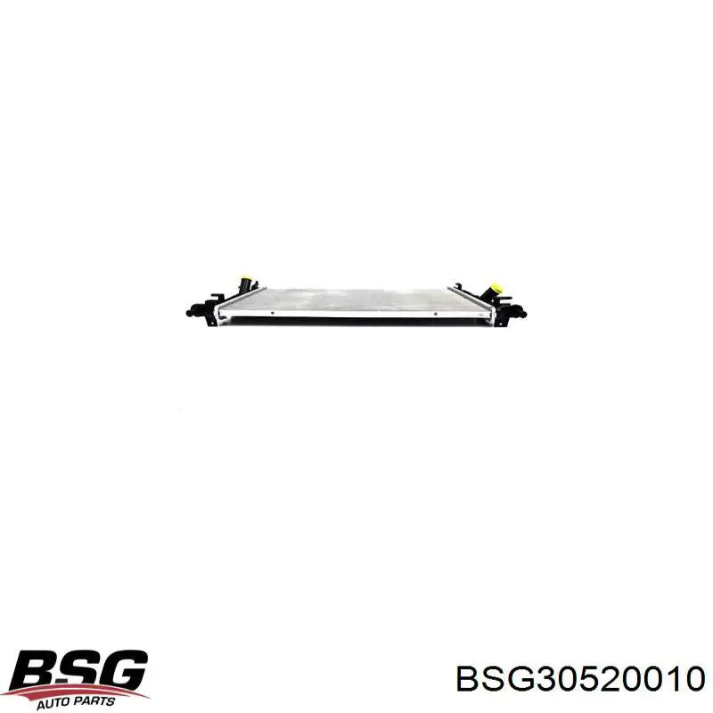 BSG 30-520-010 BSG радиатор