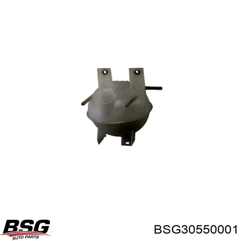 Бачок системы охлаждения 95VB8A080CF Ford